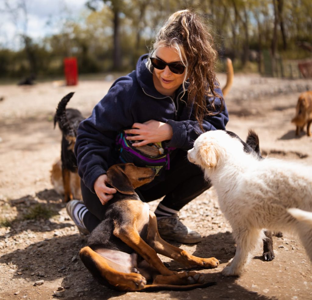 Eine Person hockt auf dem Boden mit mehreren Hundewelpen in einem Shelter.