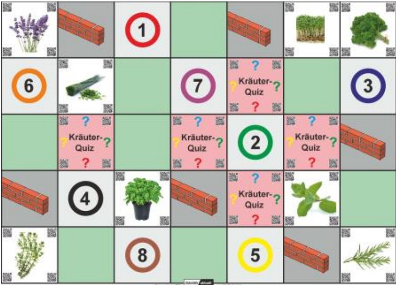 Abbildung 13: Möglicher Spielplan für das Spiel "Kräuter Memory". Bilder von Kräutern, Hürden die den Weg versperren und Quizfelder befinden sich verteilt auf einem 5x7 Raster wieder.
Quelle: https://www.researchgate.net/publication/337389459_Bee-Bots_-Programmieren_im_Sachunterricht