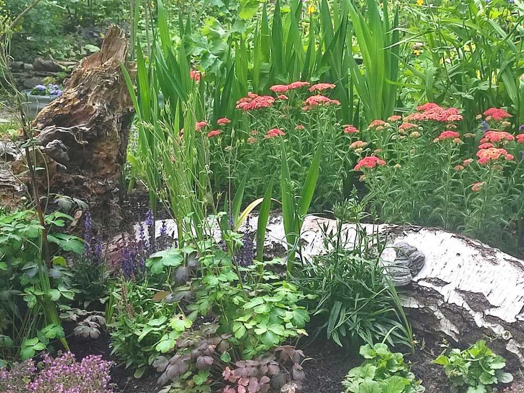 Auf dem Bild ist ein Beet zu sehen, in dem zwischen Blumen und anderen Pflanzen ein Birkenstamm und eine Baumwurzel liegen